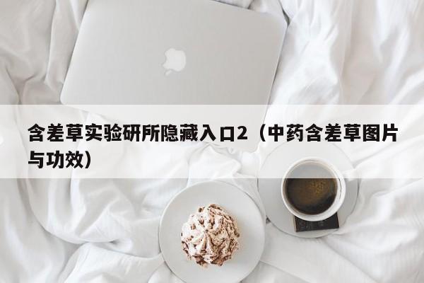 含差草实验研所隐藏入口2（中药含差草图片与功效）
